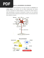 Parte 2.1 - Apuntes