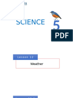 Lesson 12. Weather