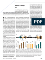 The Physiology of Plant Responses To Drought