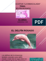 El Delfín Rosado