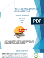 NR 9 - PROGRAMA DE PREVENÇÃO DE RISCOS Ala Alto Brasil