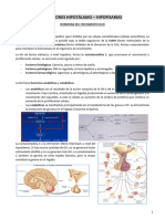 Bloque Endocrino