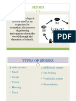 Senses PDF