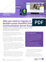 Why You Need To Migrate To Ale Purple Flyer en