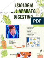 Fisiología Del Aparato Digestivo