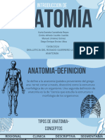 Anatomía Cuerpo Humano