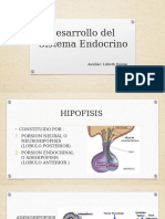 Desarrollo Del Sistema Endocrino