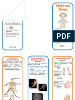 Triptico Sistema Oseo