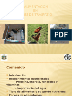 Taller Alimentación-AVES-PESA-FAO