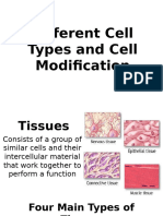 Cell Types