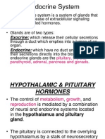 Endocrine System: Endocrine: Which Have No Duct and Release