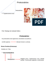 Protozoarios (Aspectos Gerais e Trypanosoma) - PowerPoint 97-2003