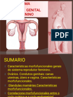 5 - Reprodutor FEMENINO