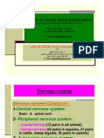 Diseases of Nervous System of Farm Animals by Ali Sadiek