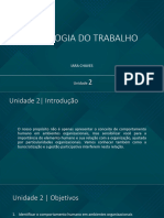 Psicologia No Trabalho