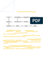 Niveis de Organização Dos Seres Vivos - 240405 - 022035