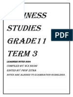 Business Grade 11 Notes Term 3 2024