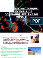 Theme 3b ch1 Le Reflexe Myotatique Un Exemple de Commande-1