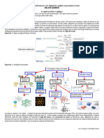 Actividad Enlace Quimico