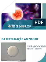 Noções de Embriologia - 2024