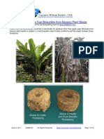 Feasibility Biomass Fuel Briquettes From Banana Plant Waste