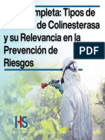 Tipos de Pruebas de Colinesterasa 1720274351