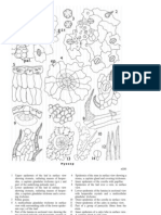 Atlas of Medicinal Plants II