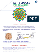 Grupos Dinamicos