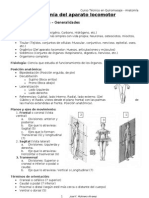 Anatomía Del Aparato Locomotor (Quiromasaje)