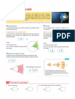 Sector Circular 5° - Todo