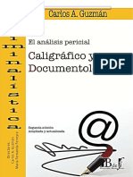 Analisis Pericial Caligrafico y Documentologico - Guzman