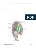 Appareil Respiratoire 1