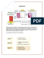 Monografia Sobre Libros Contables