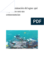 La Contaminación Del Agua 2