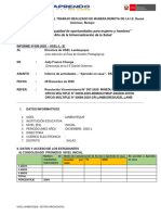 Informe Docente