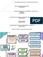 Cuadro Sinóptico Documentación de La Ejecución Del SG-SST