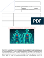 Biología 8º Guía Nº1 3 Periodo 20241