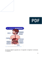 Cuadernillo Parte 2 Aparato Digestivo