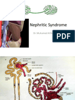 Nephritic Syndrome