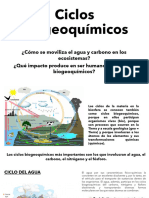 Ciclos Biogeoquímicos