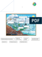 Taller Ciclo Del Carbono Biología 10°