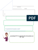 3° Ciencias - Retro-Guía - N°13 - 3°plantas