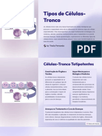 Tipos de Celulas Tronco