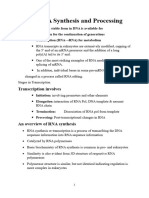 RNA Synthesis and Processing