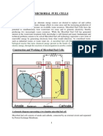 Microbial Fuel Cells Report