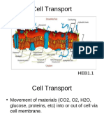 Cell - Transport Mechanisms