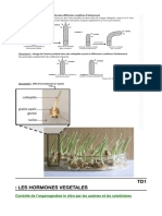 Td1 Les Hormones Vegetales