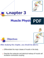 Chapte 3 Muscle