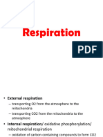 Introduction To Respiratory Physiology