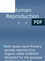 Human Reproduction Structure - 11.1